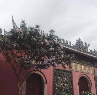 天辰娱乐：助力公益活动建设，实现经济效益与社会效益的双赢！